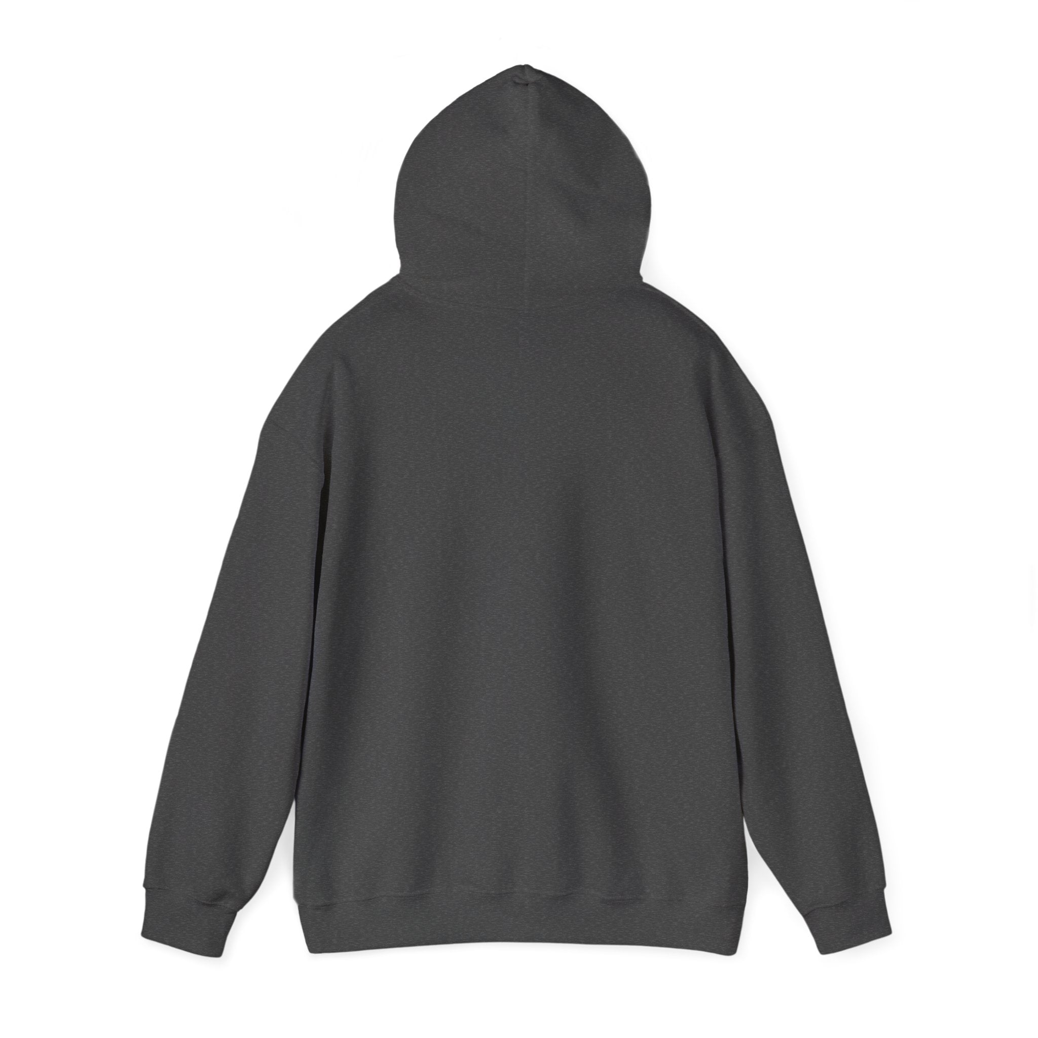 Nowhere Fast — Compass Badge Hoodie